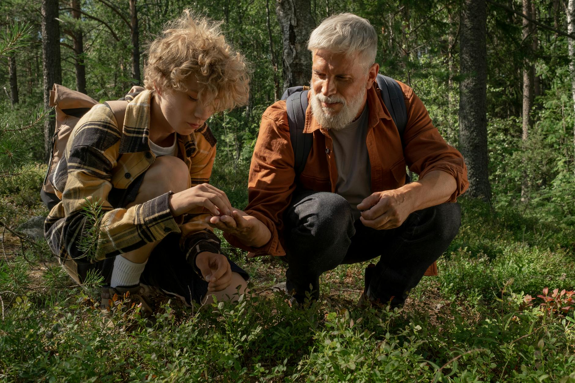 grandfather and grandson crouching down and picking blueberries
