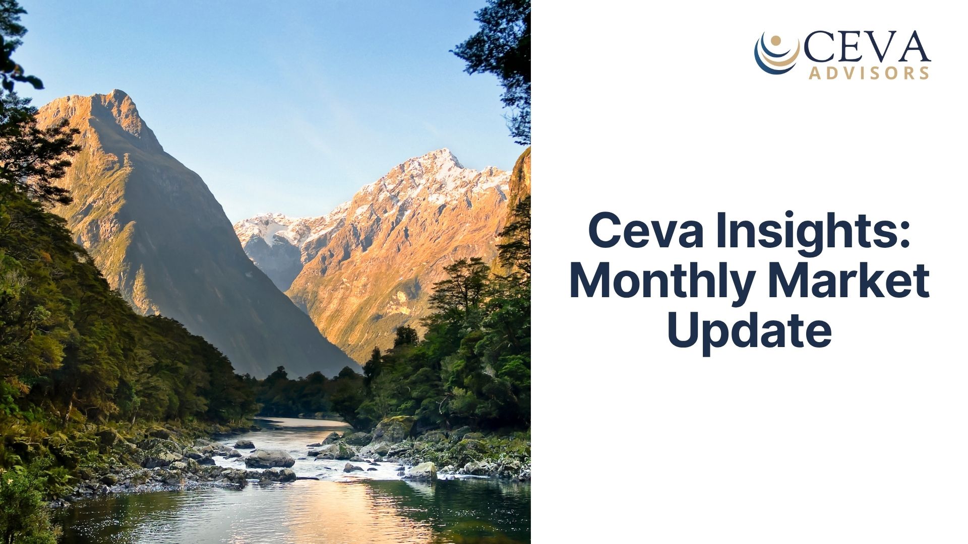 Ceva Insights: February 2026