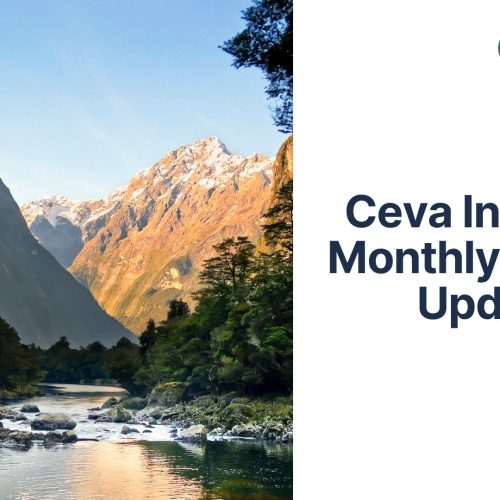 Ceva Insights: Monthly Market Update